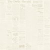 The Daily Yellow Wallpaper, by York Wall, 33' length x 1'8.5" width x 0.02" depth thumbnail