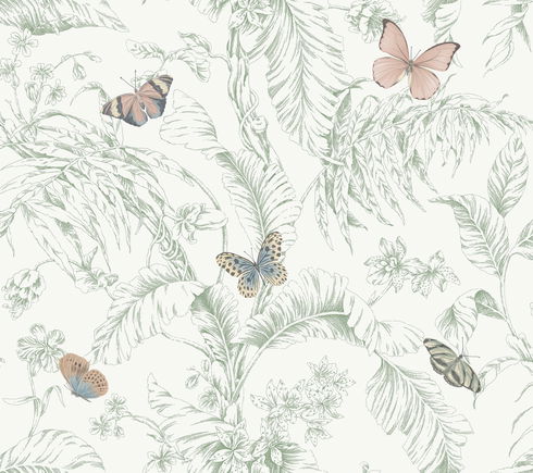 Papillon Blush Wallpaper