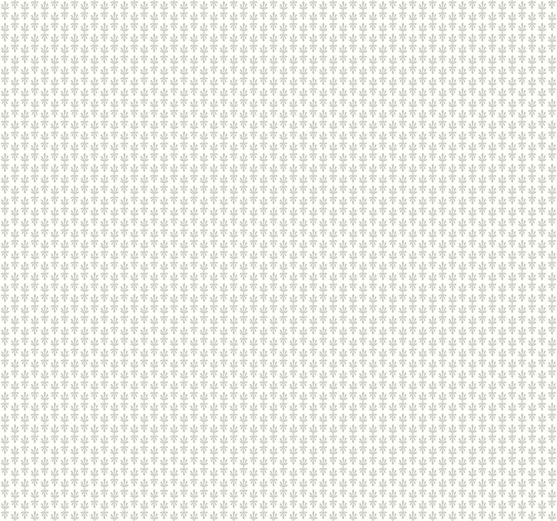 Petal White Wallpaper large image 