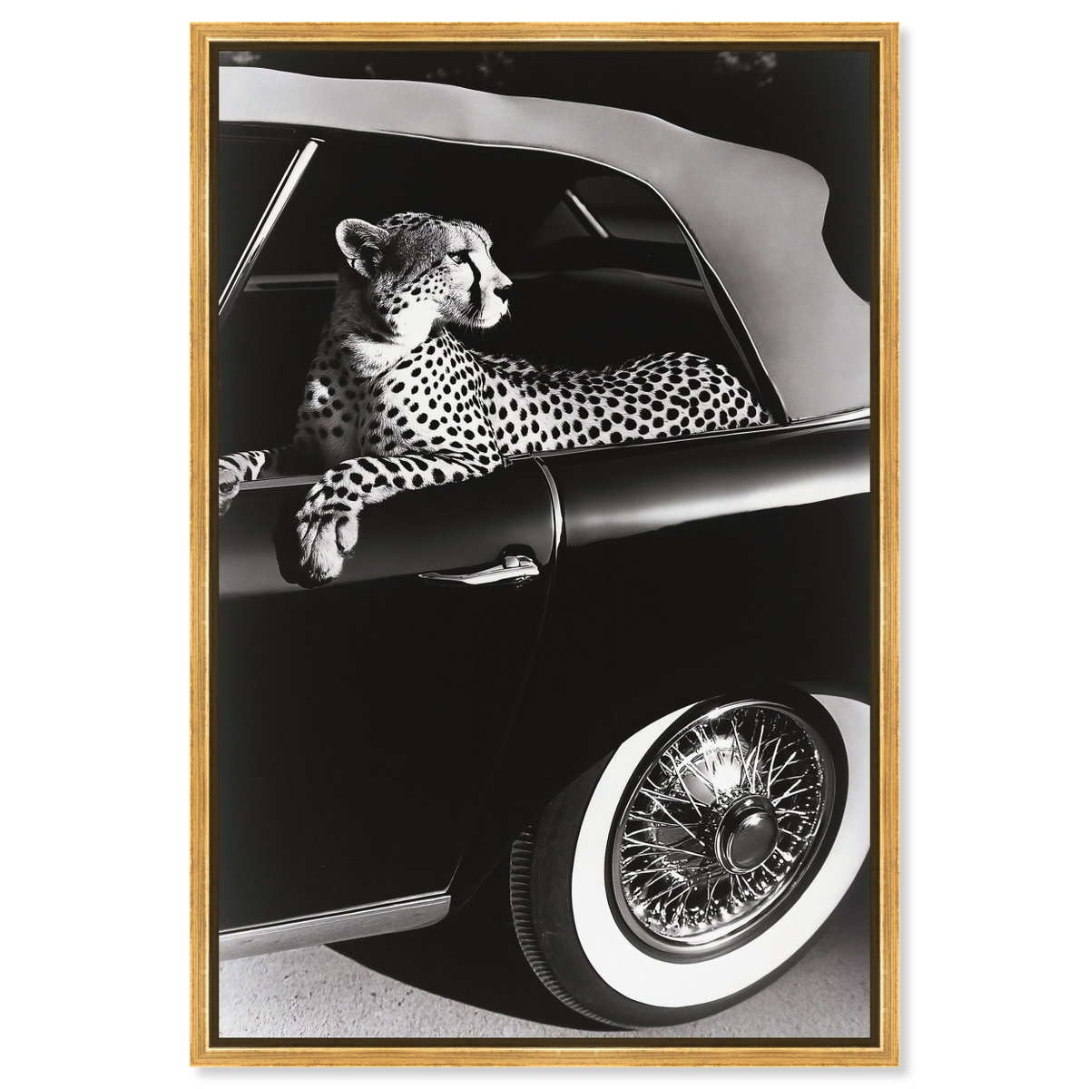 Convertible Feline I (No Embellishment), Art by Oliver Gal,  24x36 View 1