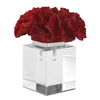 Red Coral Cluster thumbnail 0