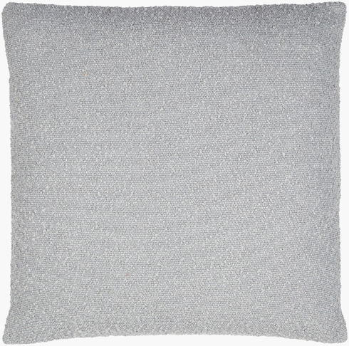 Eesha Accent Pillow