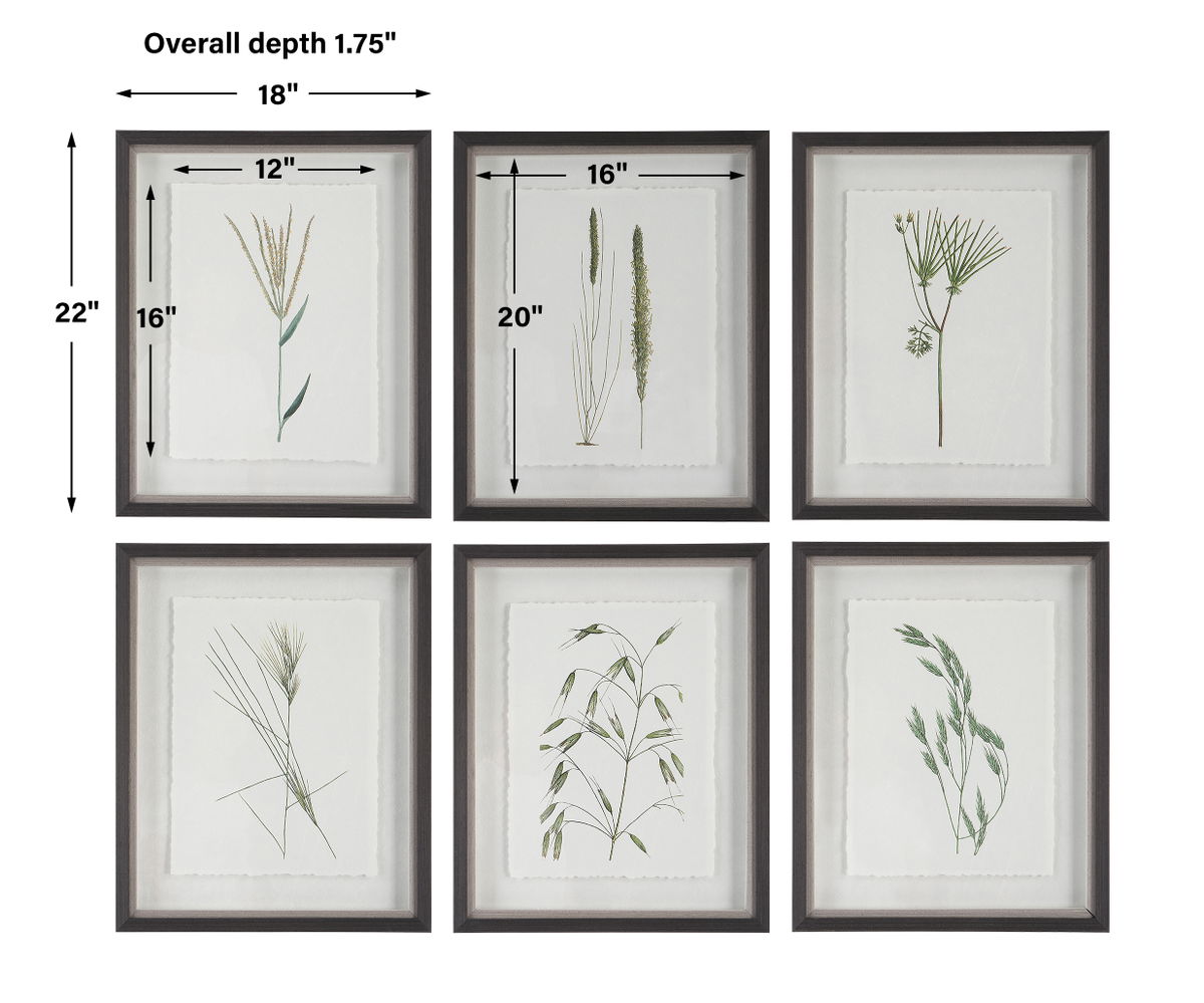 Forest Finds Framed Prints Set/6, Art by Uttermost, 18" width x 22" height x 1.75" depth View 3