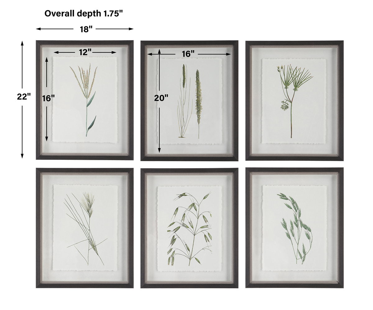 Forest Finds Framed Prints Set/6, Painting by Uttermost, 18" width x 22" height x 1.75" depth View 3