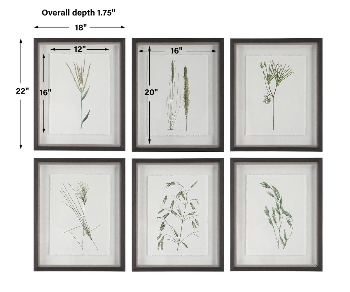 Forest Finds Framed Prints Set/6, by Uttermost, 1'6" width x 1'10" height x 1.75" depth View 3