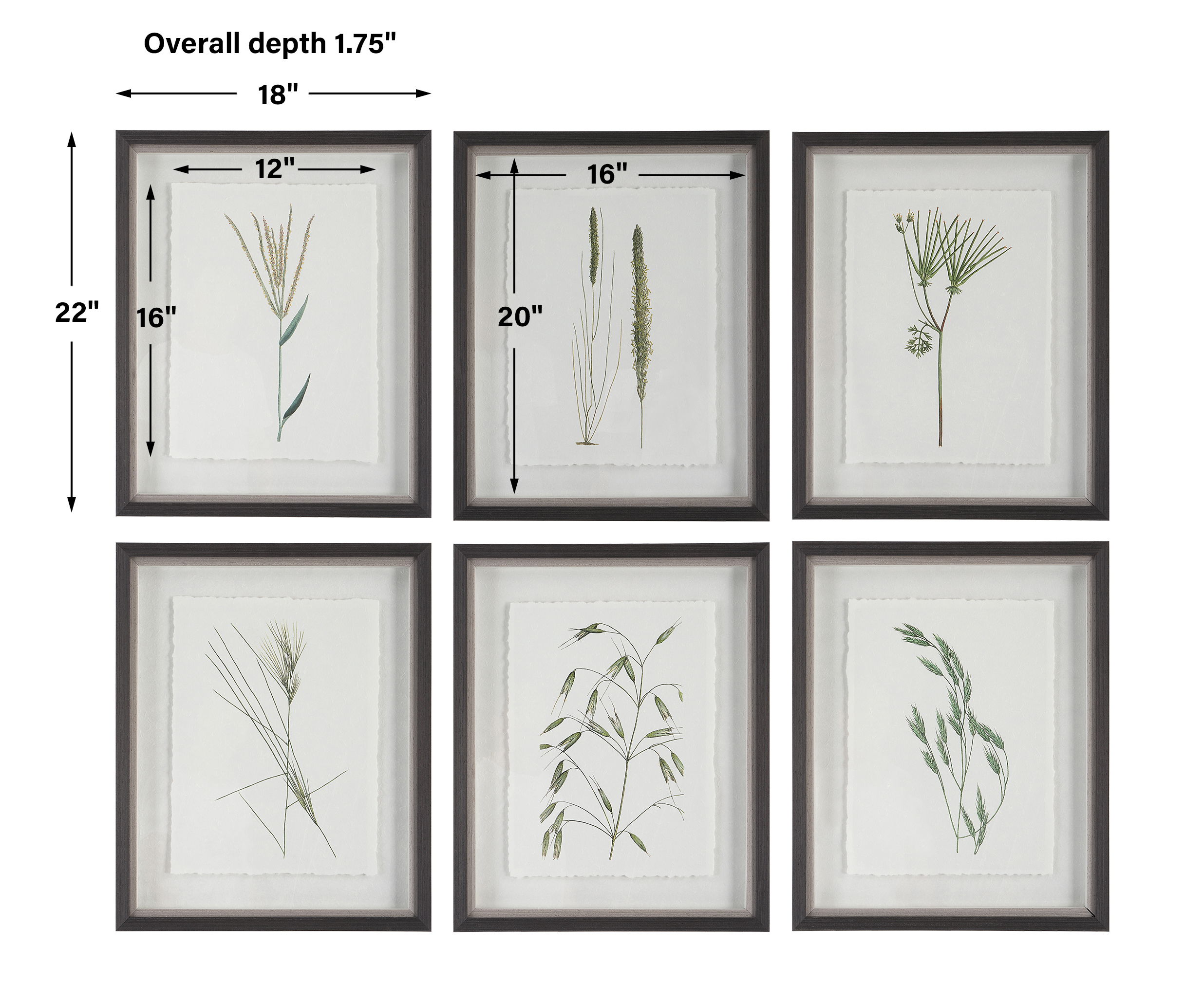 Forest Finds Framed Prints Set/6 Forest Finds Framed Prints Set/6 large image