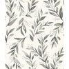 Olive Branch Charcoal Wallpaper thumbnail 0