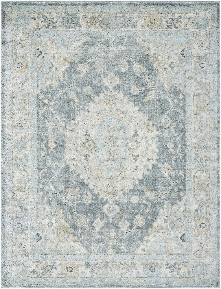 Avellino Machine Woven Rug, by Surya, 6'11.86" length x 5'2.99" width