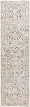 Rivaldo Machine Woven Rug, by Surya, 10'0.08" length x 2'7.49" width thumbnail