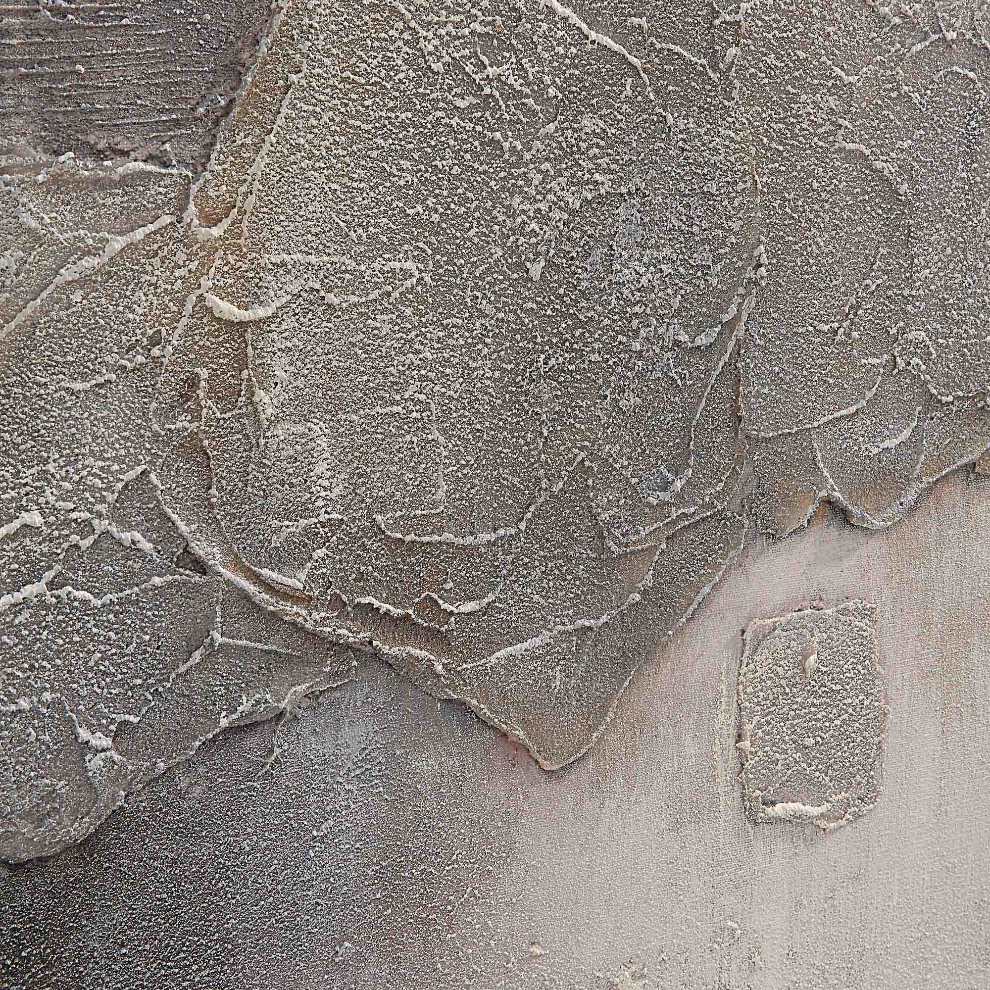 Sirius Canvas Art large image 