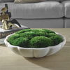 Awaken Moss Centerpiece thumbnail 0