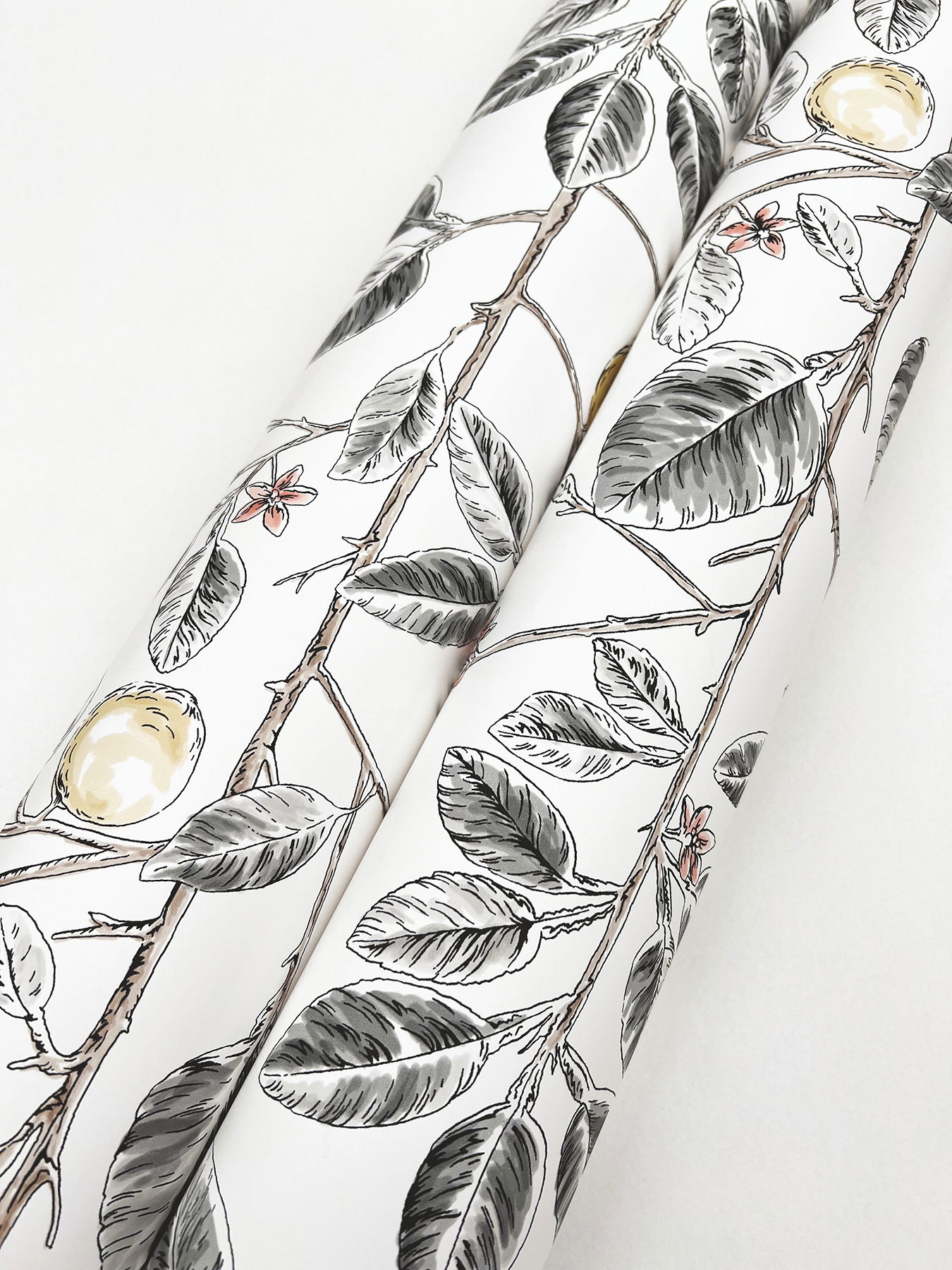 Limoncello Toile Black Wallpaper large image 