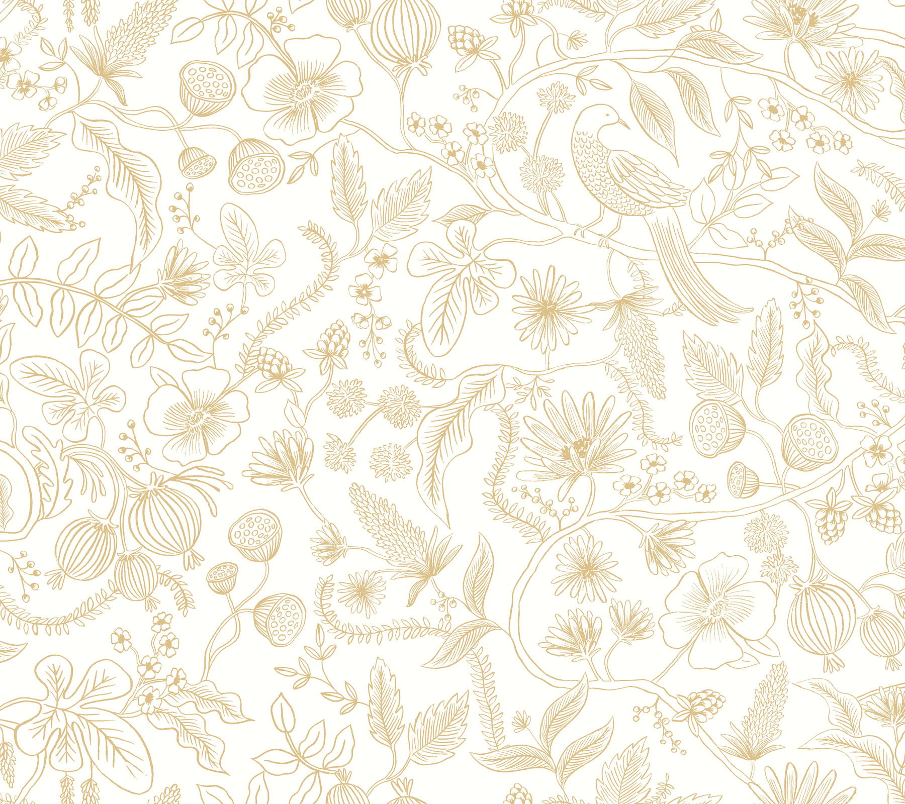Aviary Off White & Gold Peel & Stick Wallpaper Aviary Off White & Gold Peel & Stick Wallpaper large image