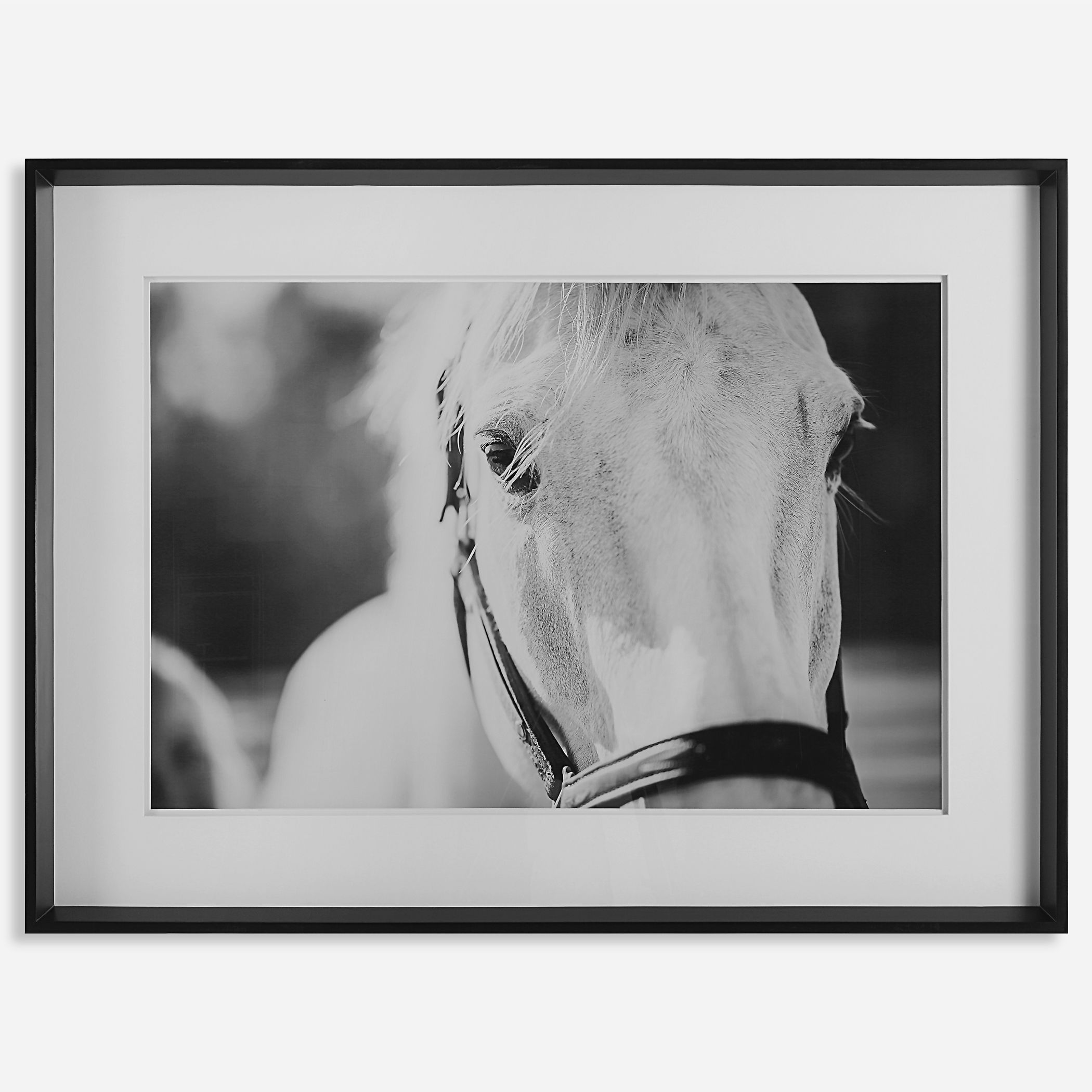 Eyes On The Prize Framed Print large image 