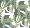 Papier Colle Green Wallpaper thumbnail 0