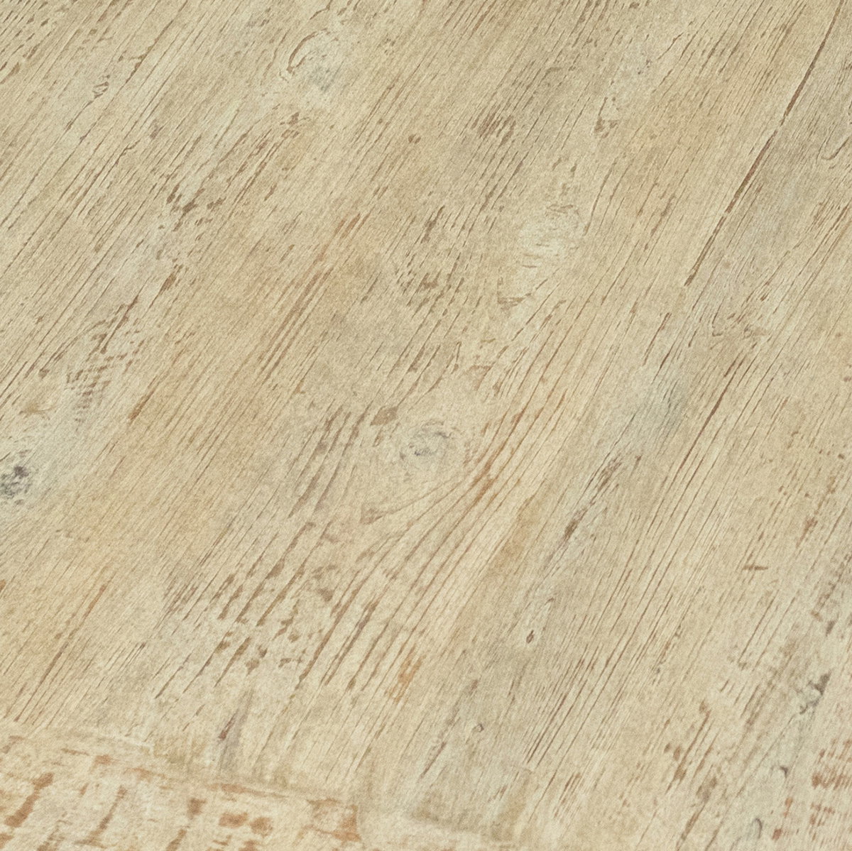 Viera Coffee Table, by Dovetail, 52" width x 16" height x 28" depth View 6