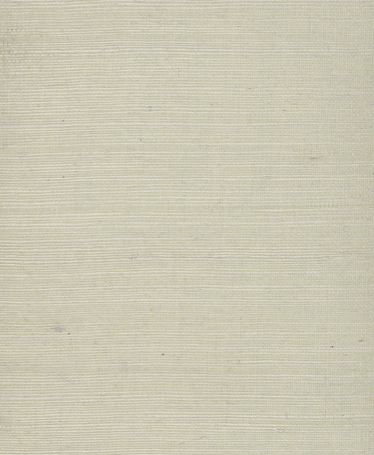 Plain Grass White Wallpaper, by York Wall, 24' length x 3' width x 0.02" depth