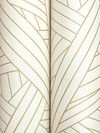 Nastri White Wallpaper thumbnail 1
