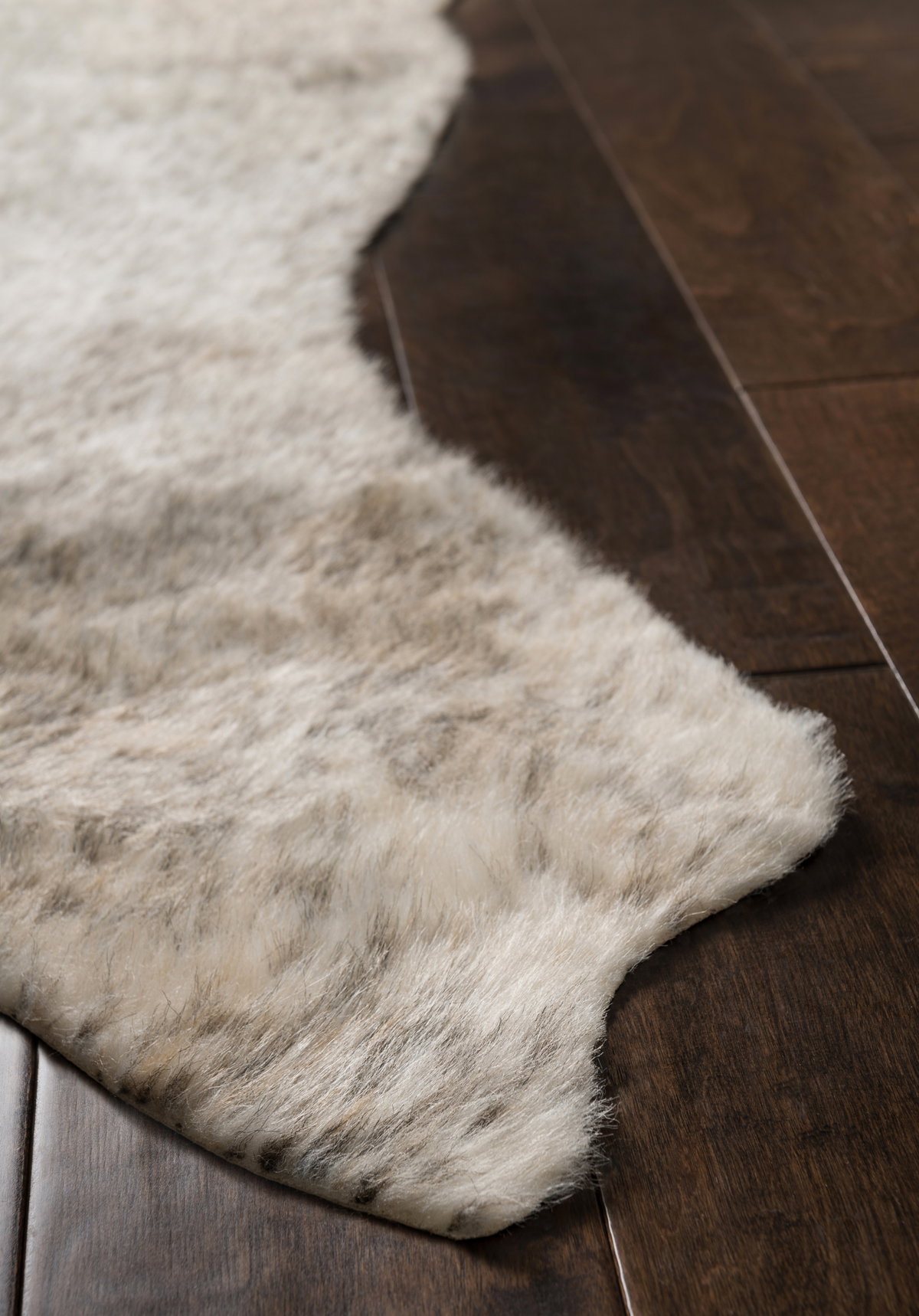 Loloi Grand Canyon Rug, 5' length x 6'6" width View 3