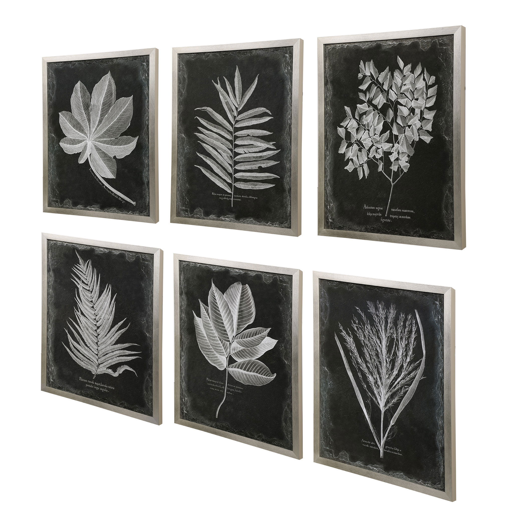 Foliage Framed Prints, S/6 large image 