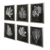 Foliage Framed Prints, S/6 thumbnail 5