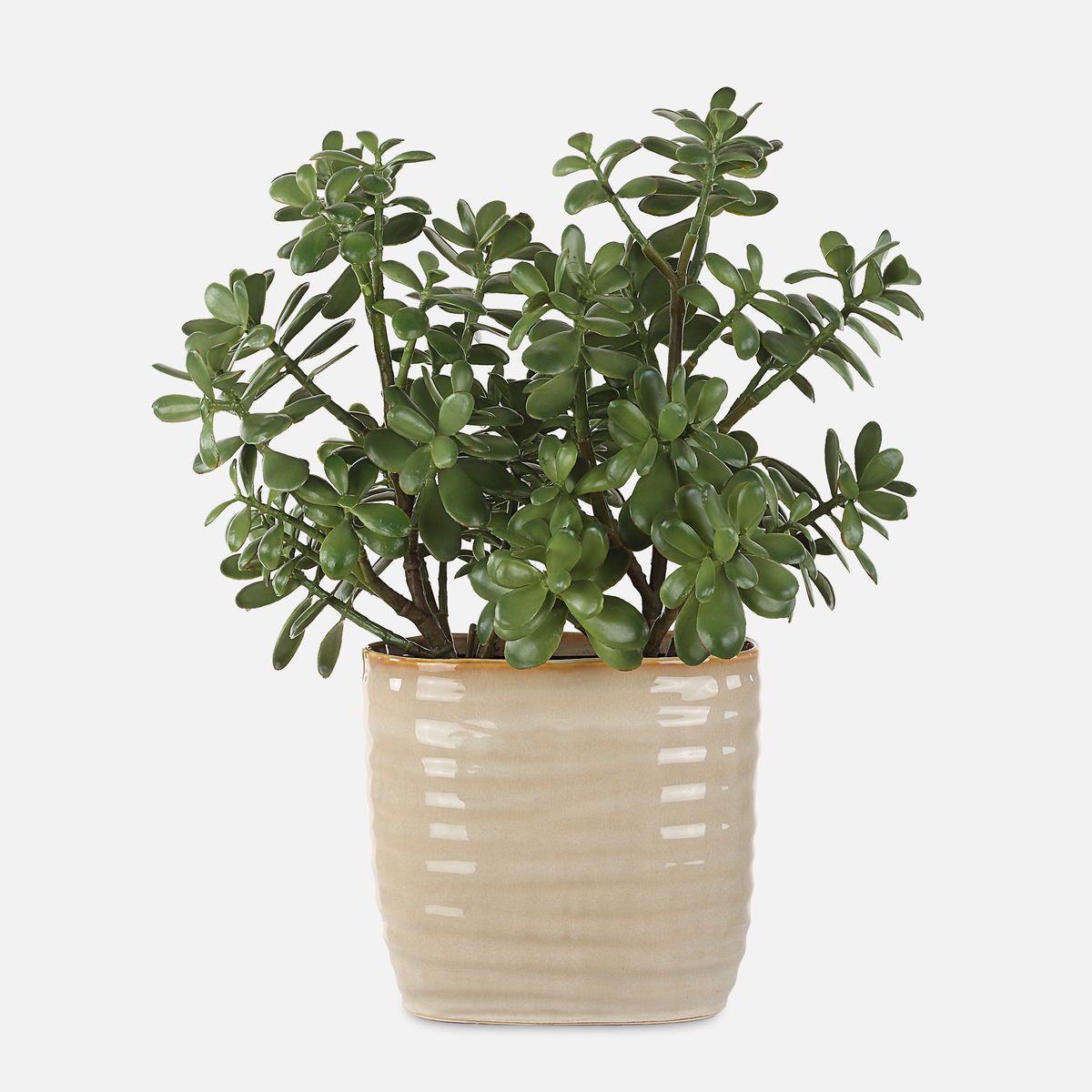 Crassula Jade Accent Plant, Artificial Plants & Flower by Uttermost, 18" width x 23.5" height x 13.75" depth View 1
