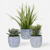 Puebla Greenery In Blue & White Pots Set/3, Artificial Plants & Flower by Uttermost, 22" width x 16" height x 22" depth thumbnail 1