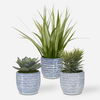 Puebla Greenery In Blue & White Pots Set/3, Decorative by Uttermost, 22" width x 16" height x 22" depth thumbnail 1