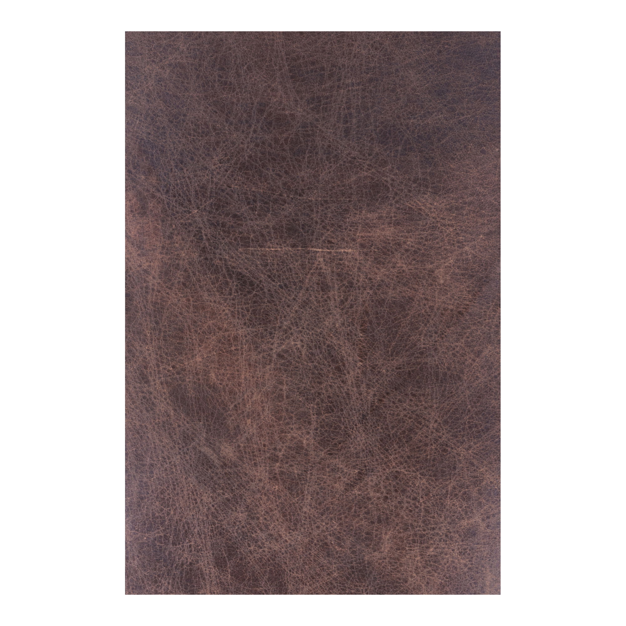 Carlisle Club Chair Brown, Accent Chair by Moe's Home, 27" width x 38" height x 35.5" depth View 9