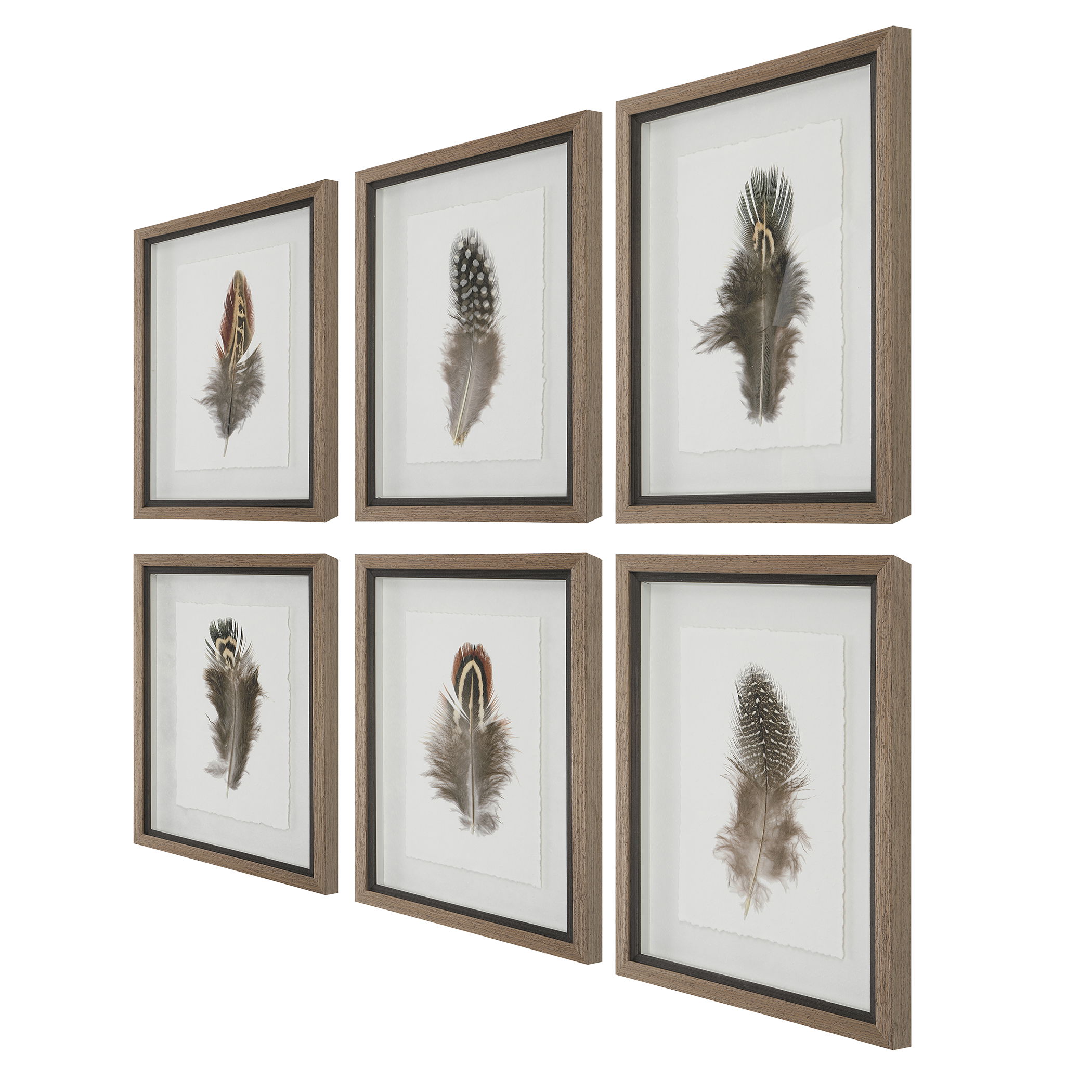 Birds Of A Feather Framed Prints, S/6 large image 