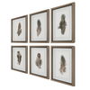 Birds Of A Feather Framed Prints, S/6 thumbnail 6