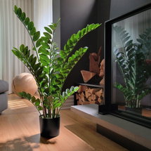 Online Designer Bathroom ZZ Plant 44"H, Potted