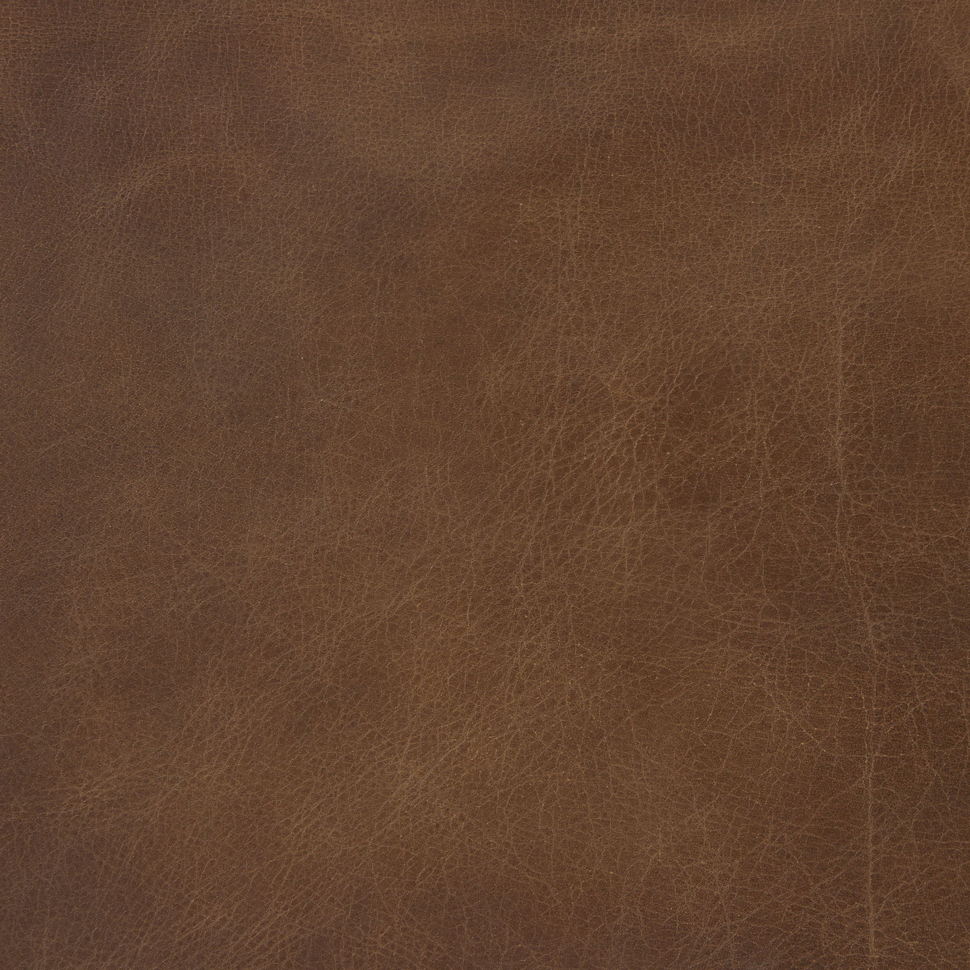 Berbick 20.5 x 24.75 x 39 Medium Brown Leather with Iron Frame Counter Stool large image 
