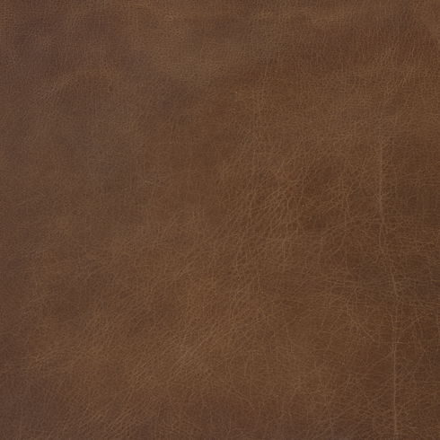 Berbick 20.5 x 24.75 x 39 Medium Brown Leather with Iron Frame Counter Stool