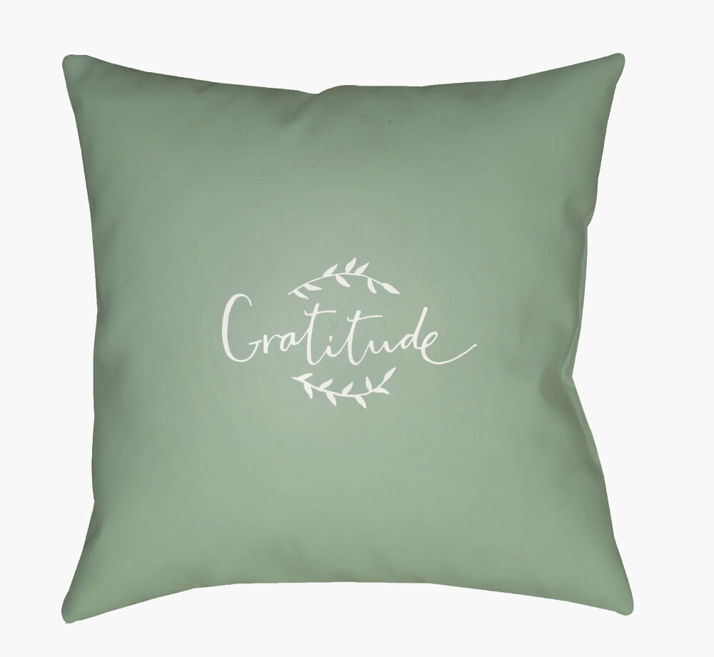 Gratitude Accent Pillow, Decorative Pillow by Surya, 18" length x 18" width