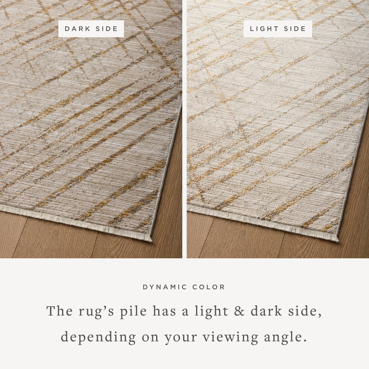 Loloi Wade Rug, 1'6" length x 1'6" width View 3