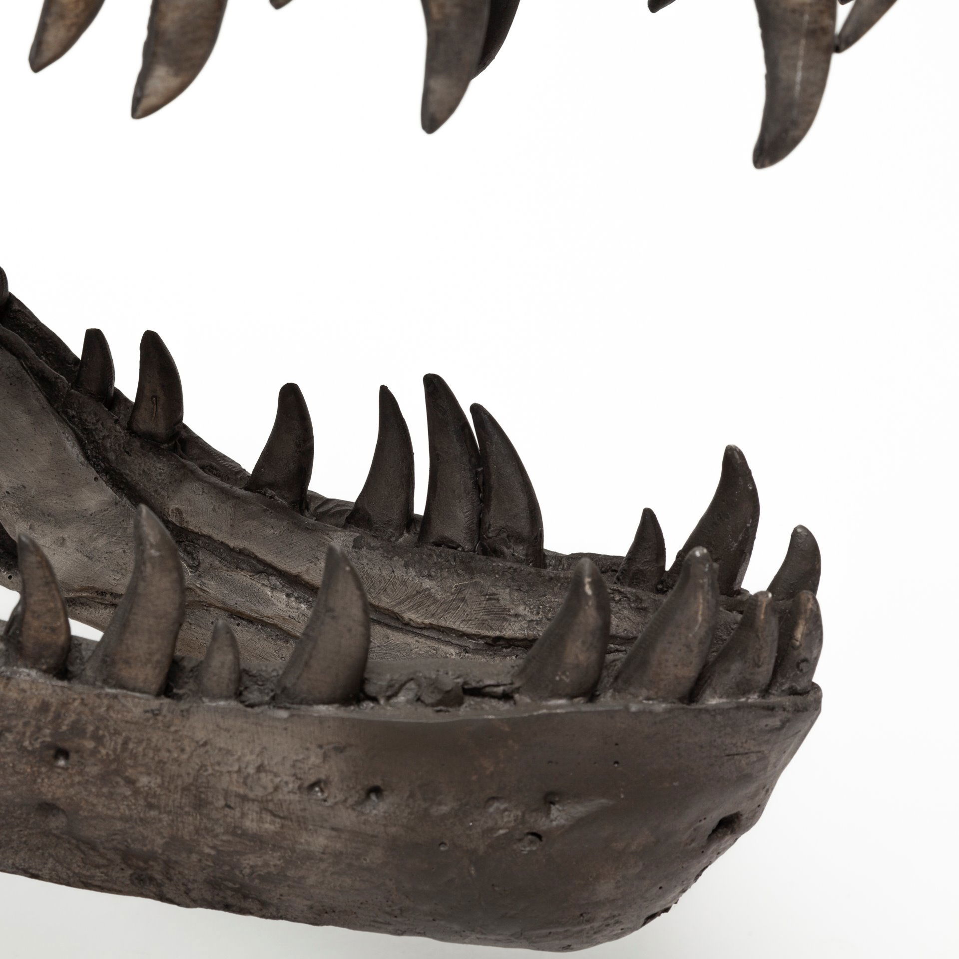 Lagrane 19L x 11W Brown Resin Tyrannosaurus T Rex Dinosaur Skull Replica, Decorative Object by Mercana, 19" length x 11" width x 20" height View 10