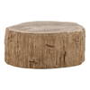 Arik Coffee Table Light Natural, by Dovetail, 32" width x 14.17" height x 41.73" depth thumbnail 2