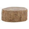Arik Coffee Table Light Natural, by Dovetail, 32" width x 14.17" height x 41.73" depth thumbnail 2
