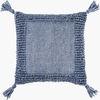 Alaric Accent Pillow, Decorative Pillow by Surya, 18" length x 18" width thumbnail