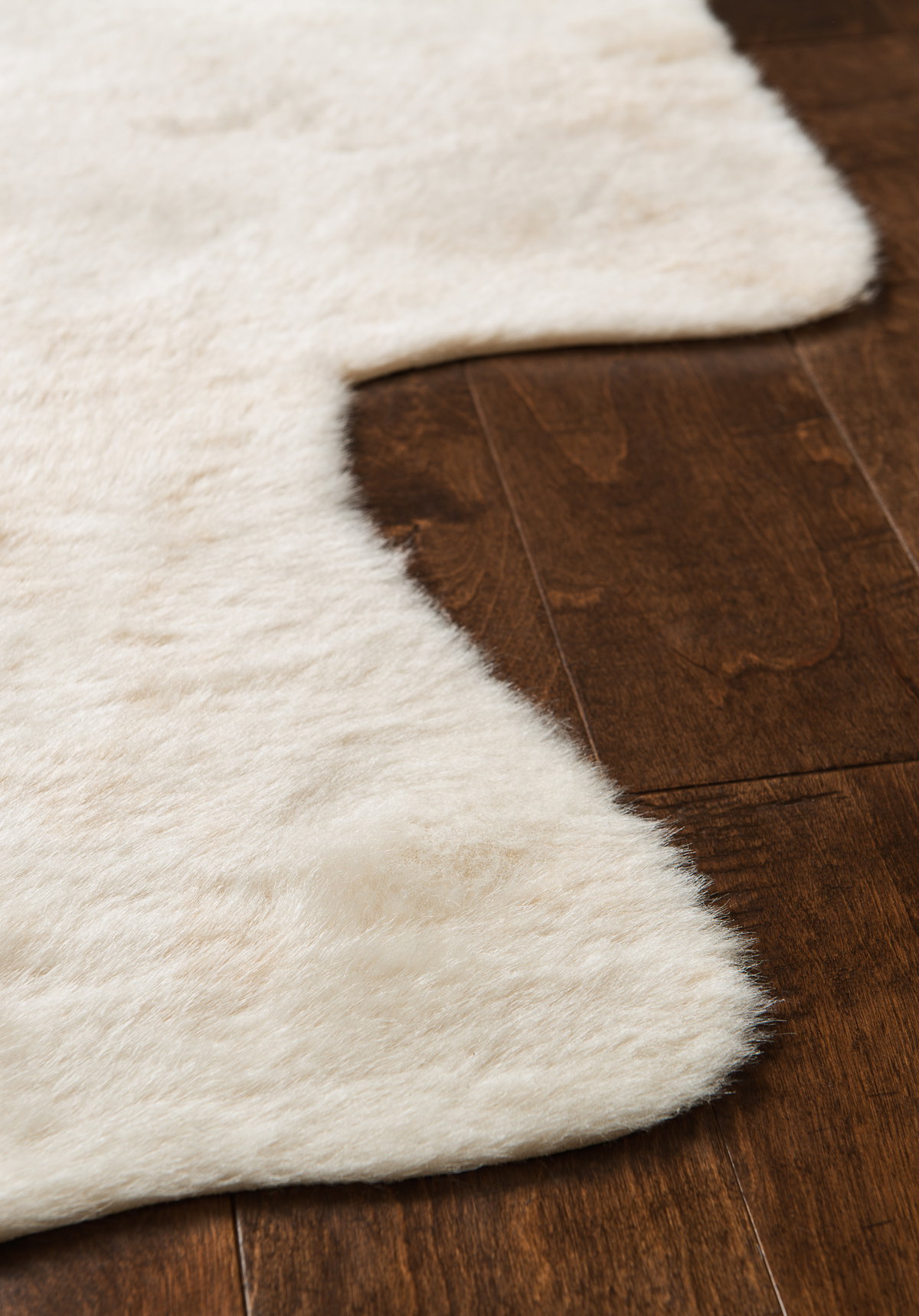 Loloi Grand Canyon Rug, 3'10" length x 5' width View 4