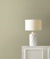 Maguey Sisal Hay Wallpaper thumbnail 1