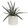 Taos Aloe Centerpiece, by Uttermost, 1'5" width x 1'5.5" height x 1'5.5" depth thumbnail 4