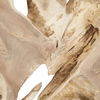 Terrains Natural Wood Wall Decor thumbnail 5