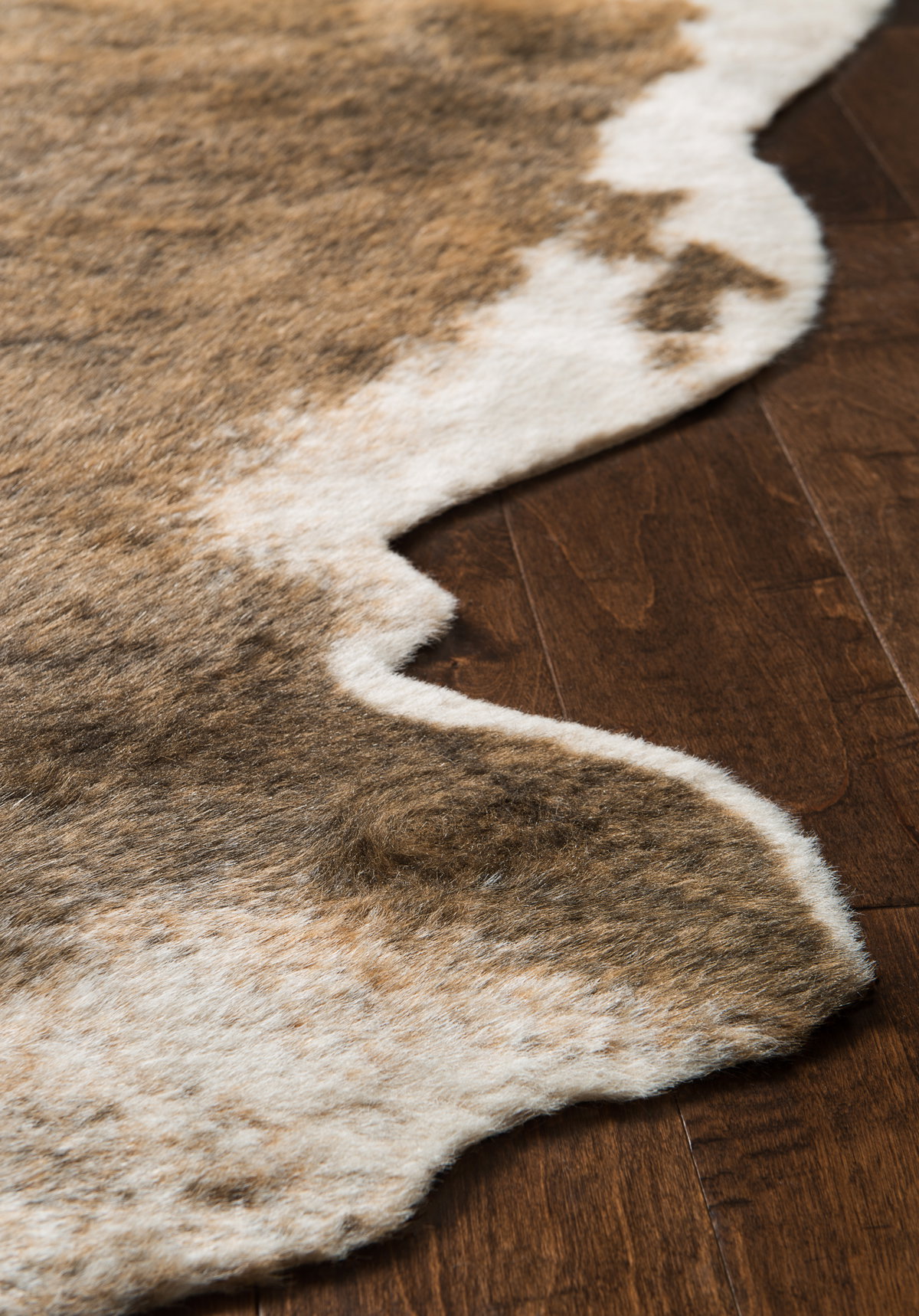 Loloi Grand Canyon Rug, 3'10" length x 5' width View 5