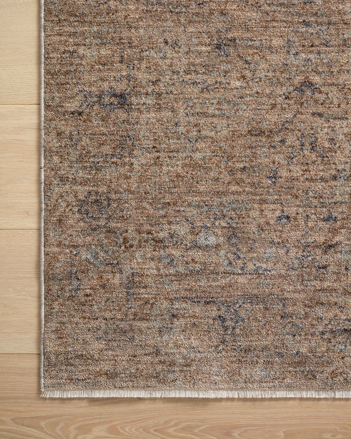 Angela Rose x Loloi Blake Rug, 5'3" length x 5'3" width View 8