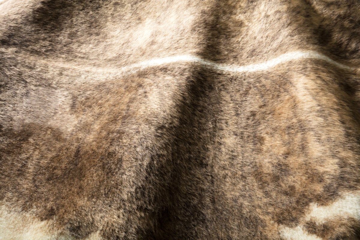 Loloi Grand Canyon Rug, 3'10" length x 5' width View 4