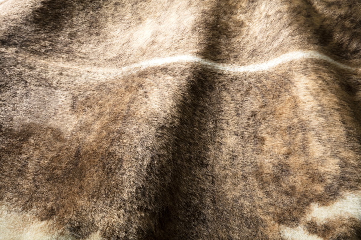 Loloi II Grand Canyon Rug, 6'2" length x 8' width View 4