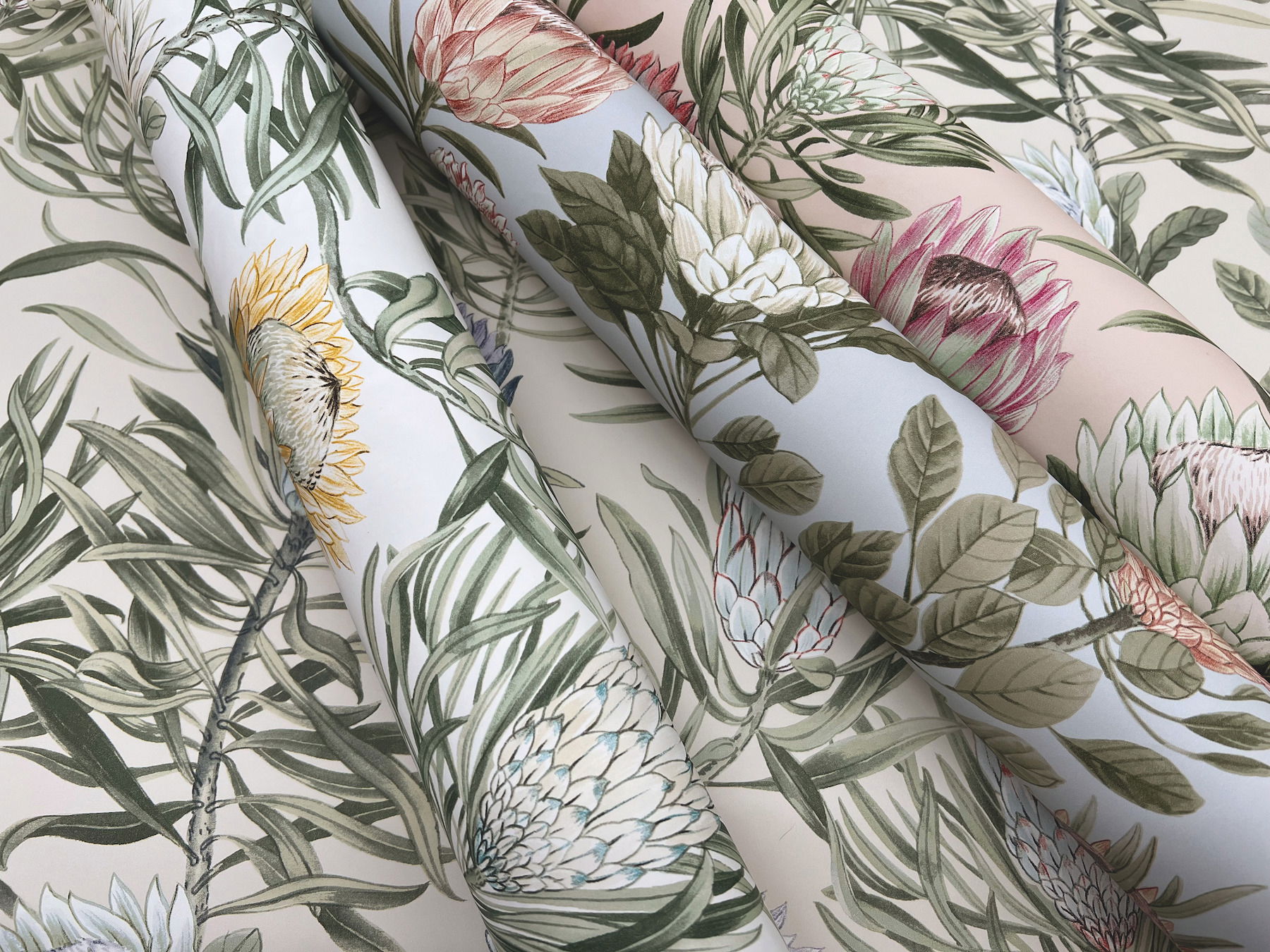 Protea Cream & Blue Wallpaper large image 