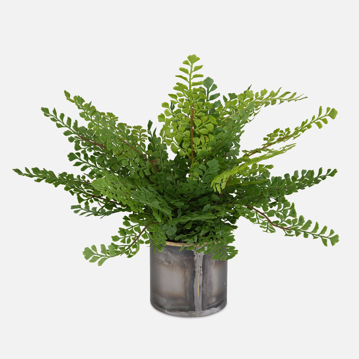 Maidenhair Fern In Oxidized Container, Artificial Plants & Flower by Uttermost, 14" width x 14" height x 14" depth View 1